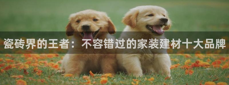 杏鑫平台代理