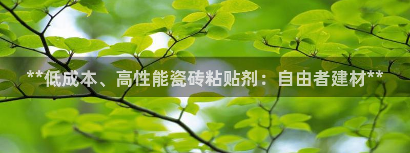 杏鑫官方平台怎么样啊安全吗