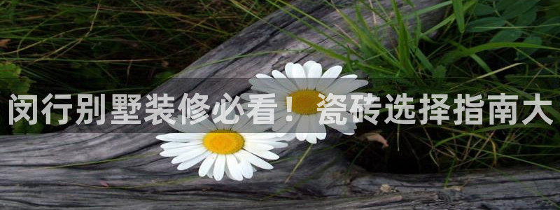 杏鑫平台平台娱乐怎么样