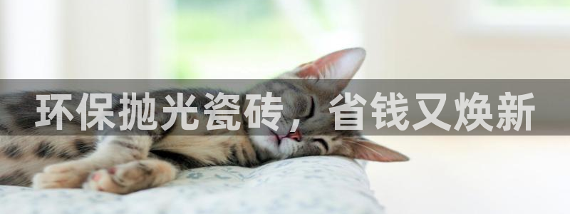 杏鑫平台怎么样黑钱吗安全吗