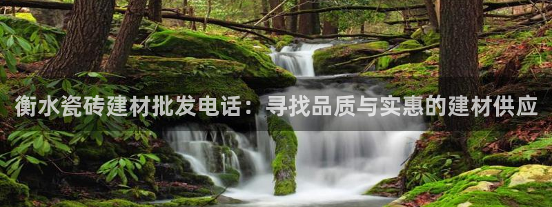 杏鑫平台代理怎么样啊