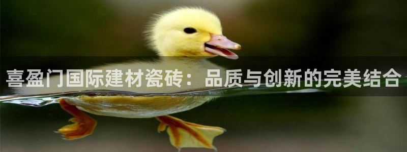 杏鑫平台代理怎么样赚钱