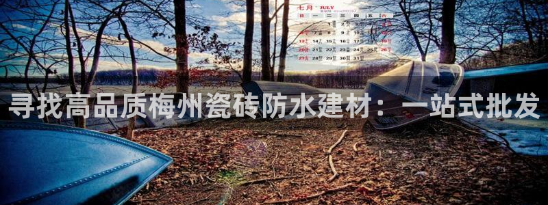 杏鑫平台下载安装