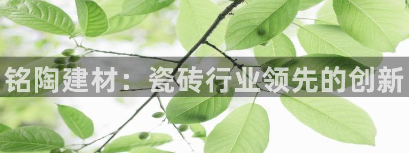 杏鑫平台登陆