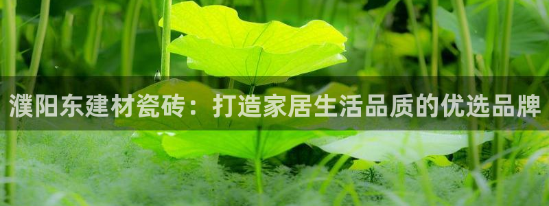杏鑫平台怎么样黑钱吗知乎推荐