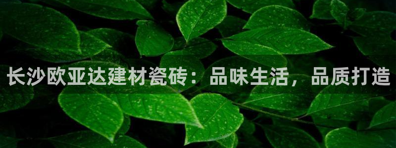 杏鑫娱乐是合法的吗是真的吗