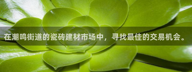 杏鑫官网