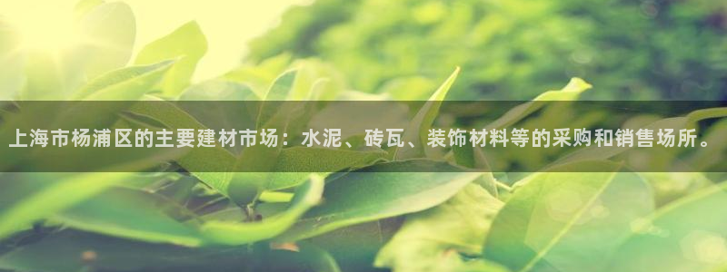杏鑫官网最新信息
