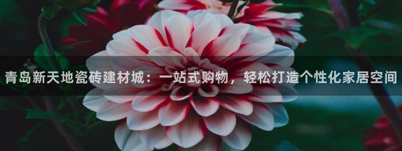 杏鑫平台代理怎么做赚钱