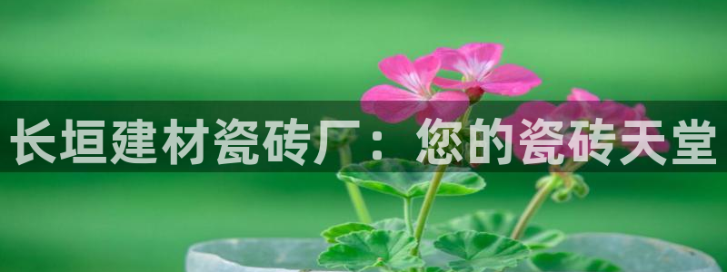 杏鑫平台是黑平台吗