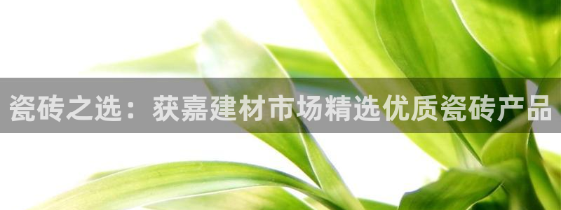 杏鑫官方app代理