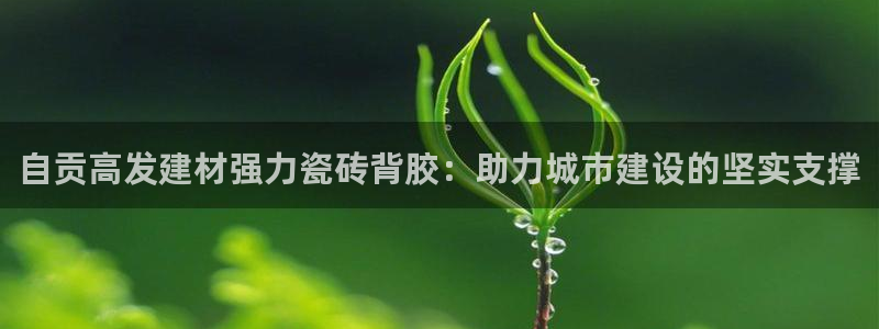 杏鑫平台下载安装