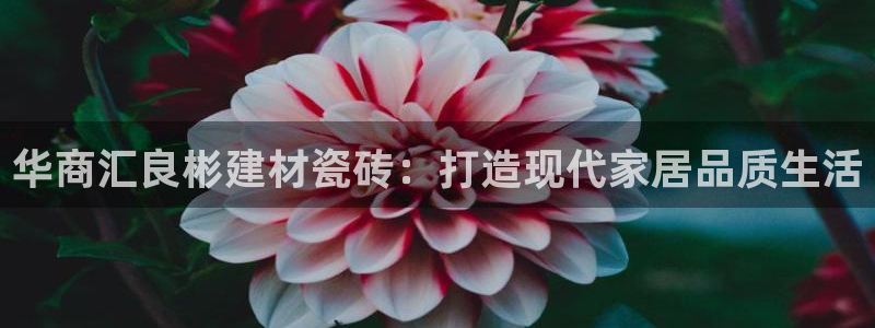 杏鑫平台代理怎么样啊