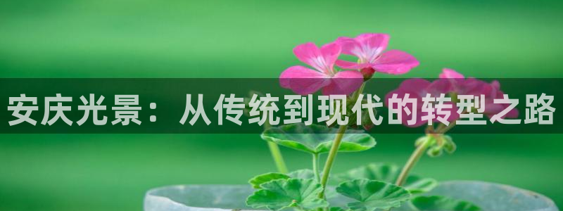杏鑫平台是黑平台吗知乎