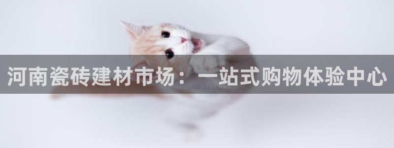 杏鑫平台怎么样