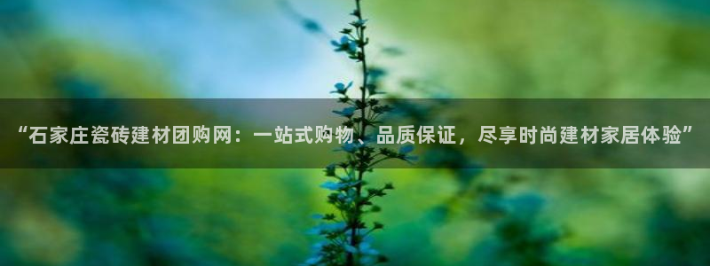 杏鑫官方平台怎么样