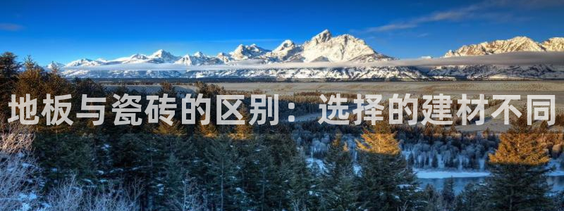 杏鑫娱乐是真的吗还是假的