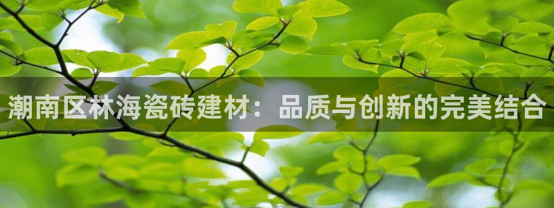 杏鑫平台招商电话号码是多少