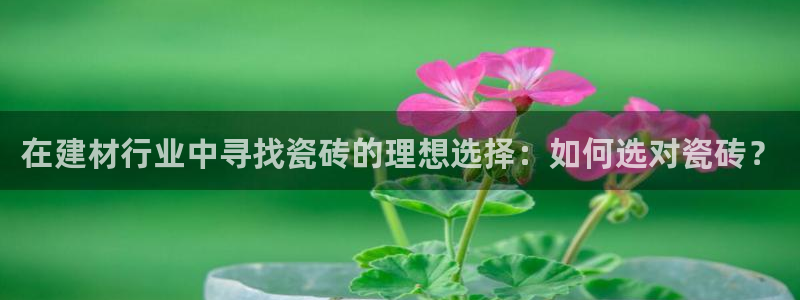 杏鑫注册