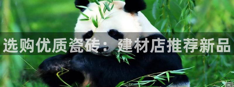 杏鑫平台怎么样黑钱吗知乎推荐