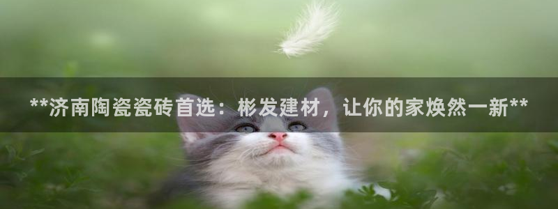 杏鑫平台代理注册多少钱一年