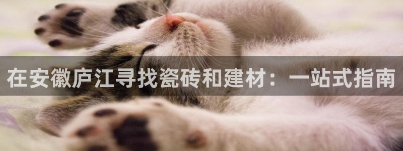 杏鑫官网注册账号是什么意思