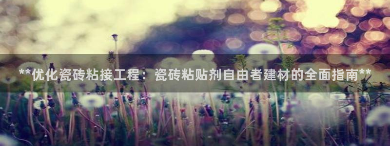 杏鑫平台代理注册