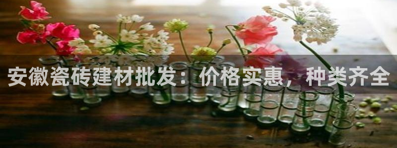 杏鑫官网注册账号是什么样的