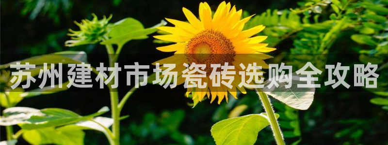 杏鑫平台注册入口在哪