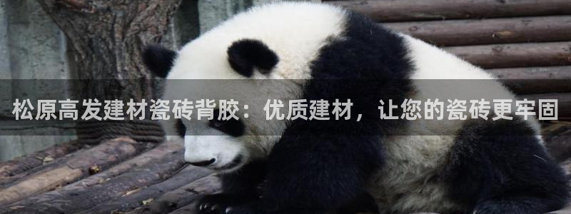 杏鑫官网注册账号密码忘了