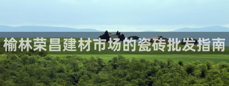 杏鑫代理注册资金多少