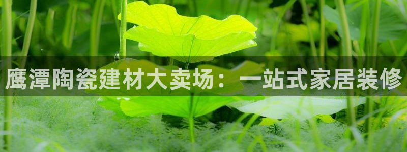 杏鑫平台代理注册多少钱啊