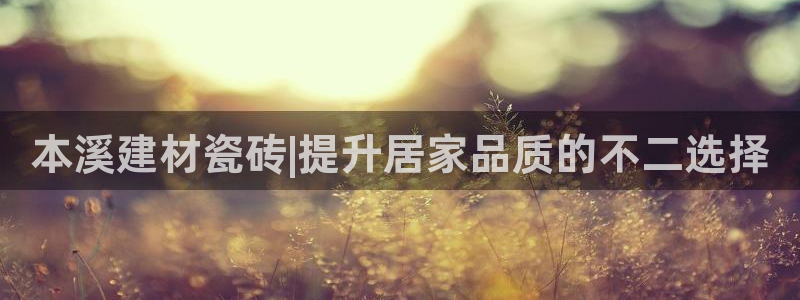 杏鑫平台登录地址是什么