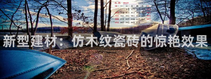 杏鑫平台代理注册流程图