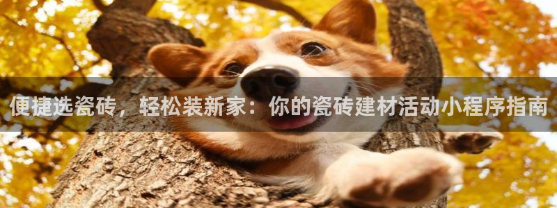 杏鑫注册登录网