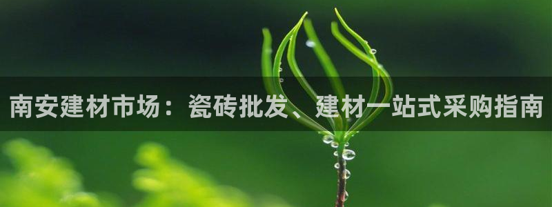 杏鑫平台代理注册多少钱一年