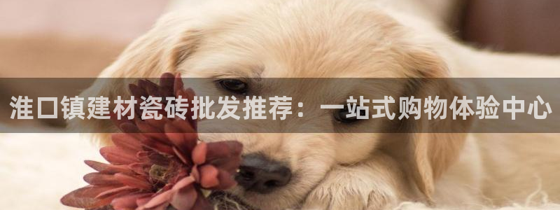 杏鑫官网注册账号怎么注册