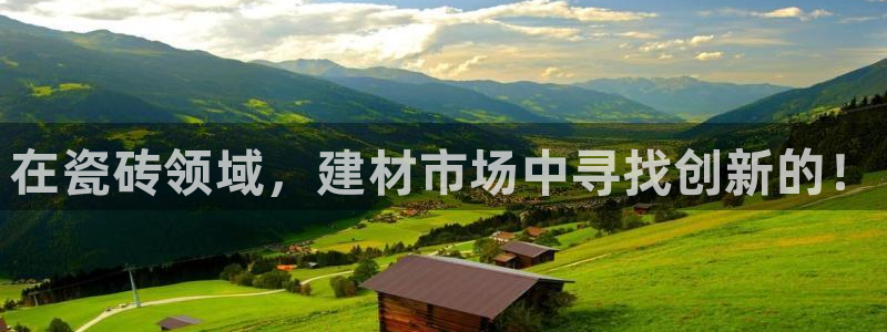 杏鑫注册平台官方网站是什么