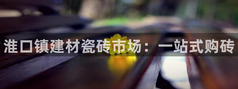 杏鑫平台注册登录