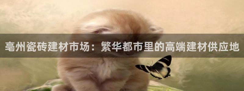 杏鑫官网注册账号是什么样的