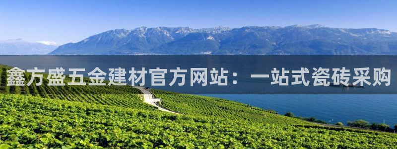 杏鑫官网注册账号密码