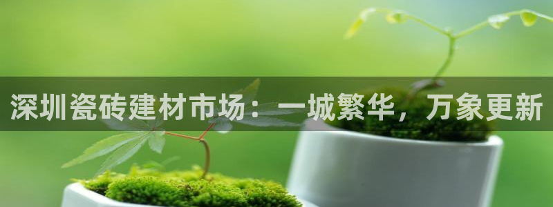 杏鑫平台代理注册登录不了怎么办呀苹果