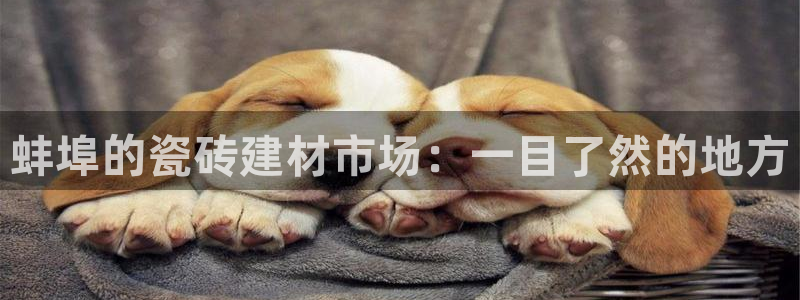 杏鑫平台注册地址是哪里