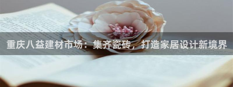 杏鑫平台招商怎么样