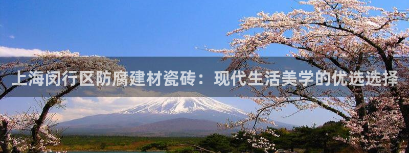 杏鑫平台线路测速