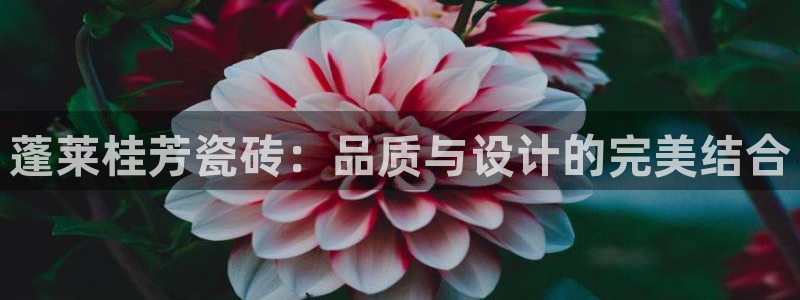 杏鑫平台注册入口