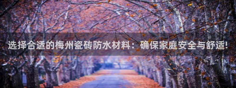 杏鑫官网注册账号是什么样的