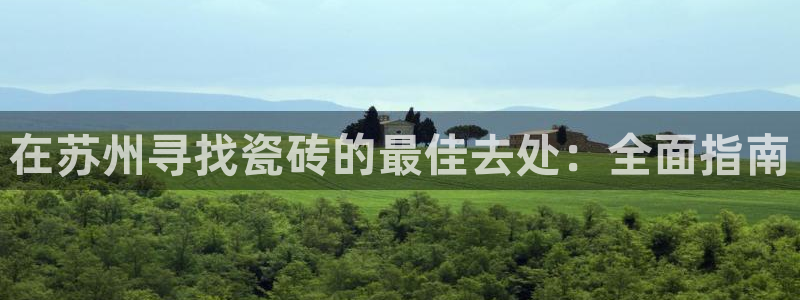 杏鑫平台代理注册流程及费用