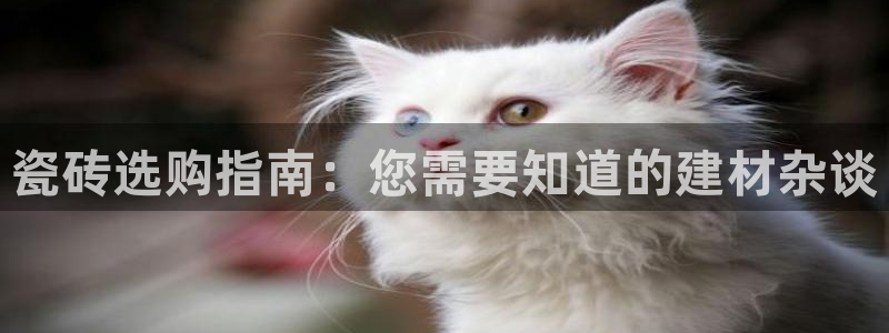 杏鑫娱乐多少年了