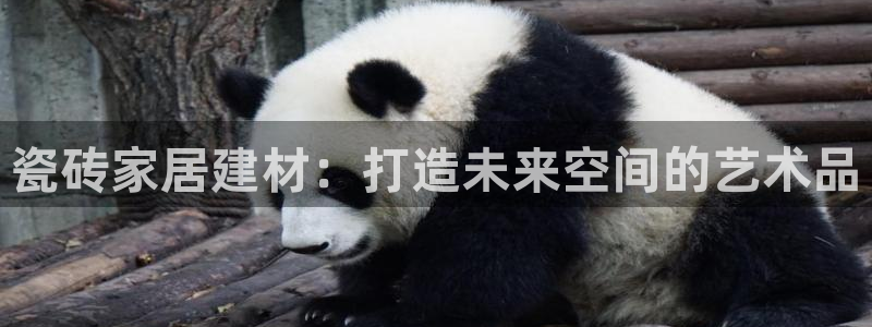 杏鑫平台代理注册流程图